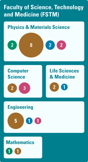 Figure representing the IAS funding instruments involved in the FSTM departments. Physics & Materials Science: Distinguished 2, Audacity 8, Young Academics 2, Brainstorm 2. Computer Science: Audacity 2, Brainstorm 3. Life Sciences & Medicine: Audacity 2, Young Academics 1. Engineering: Audacity 5, Young Academics 1, Brainstorm 1. Mathematics: Audacity 1, Distinguished 1.